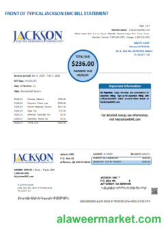 Georgia JACKSON EMC utility business bill, page 1 SCR
